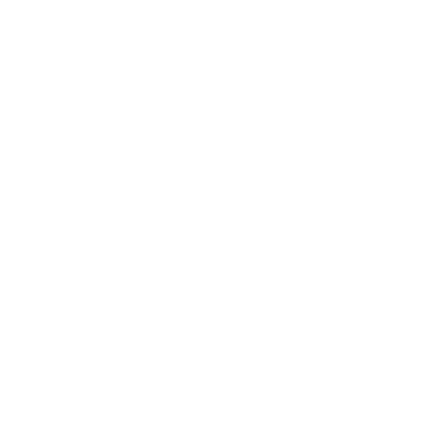 shop-icon